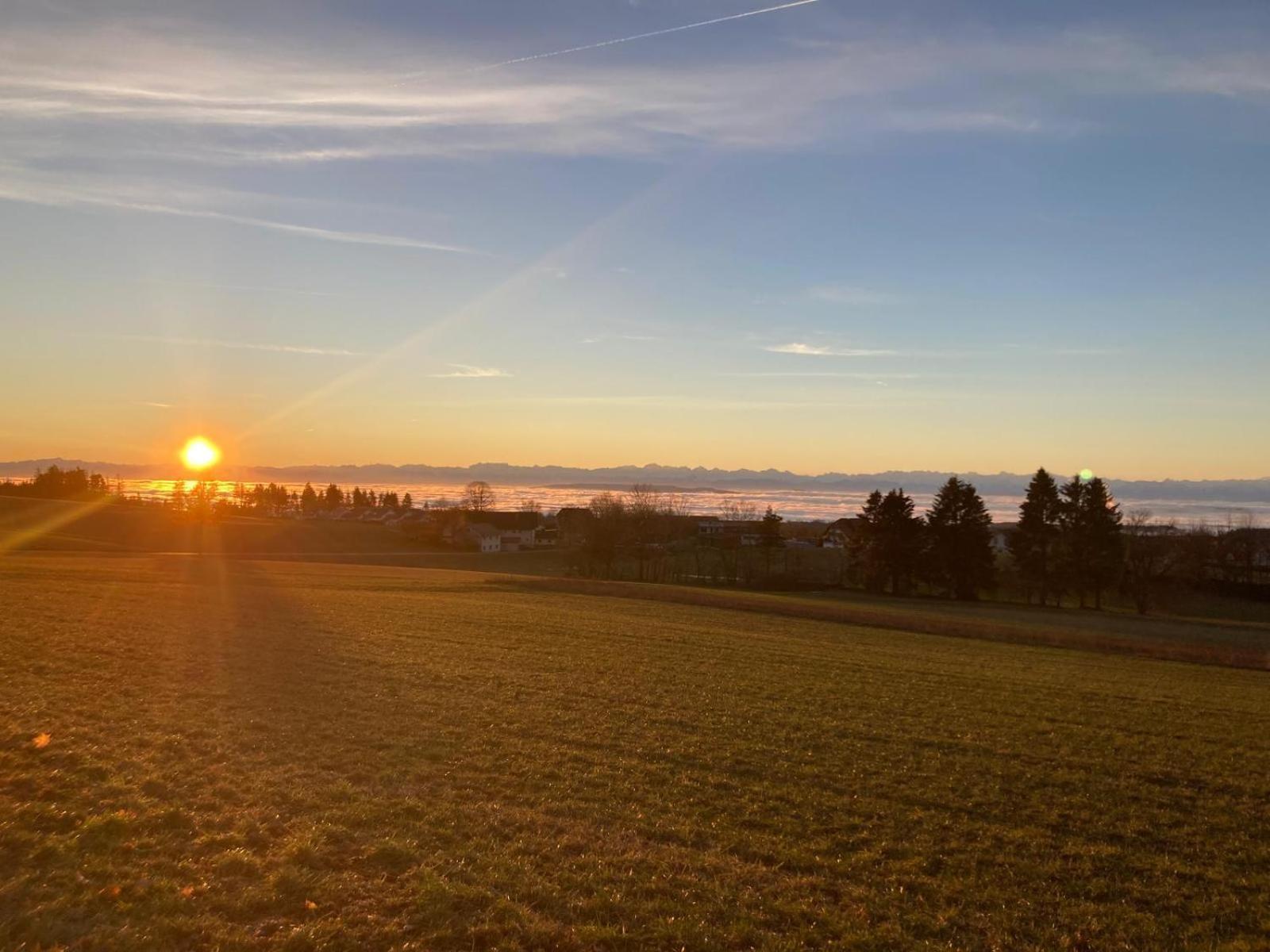 Haus Hanni Höchenschwand Buitenkant foto